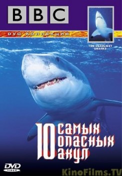 10 самых опасных акул