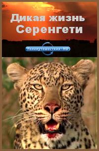 Дикая жизнь Серенгети