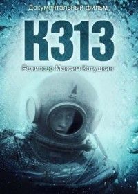 К-313