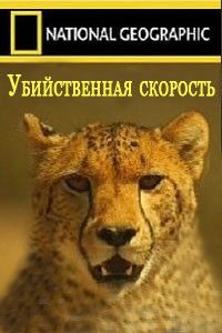 Убийственная скорость