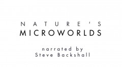 BBC Микромиры / Nature's Microworlds