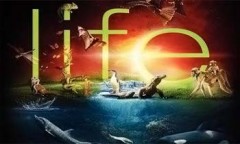 BBC Жизнь / BBC Life (2009) HD