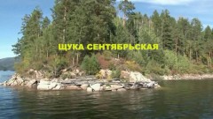 Щука сентябрьская