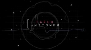 Тайны анатомии