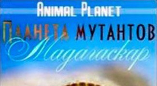 Планета мутантов 2 сезон Индия (2014)