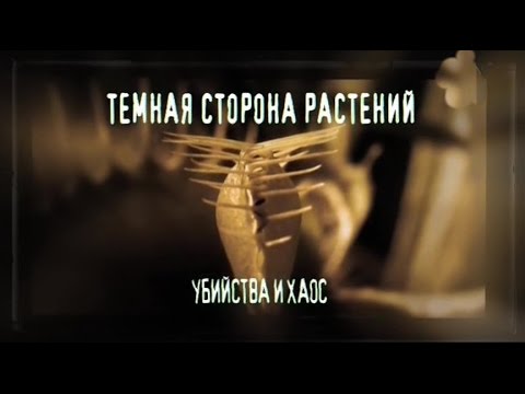 Тёмная сторона растений Убийства и хаос (2013)