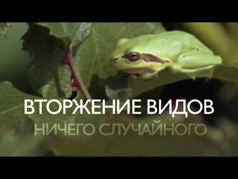 Вторжение видов 1 серия Ничего случайного (2012)