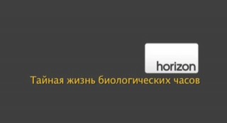 BBC horizon Тайная жизнь биологических часов