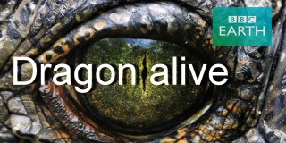 BBC Живые драконы / Dragon alive 2 серия (2004)