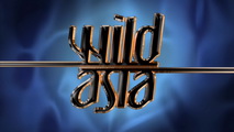 Дикая Азия / Wild Asia 3 Острова Волшебства HD