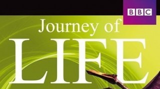 BBC Эволюция жизни / Journey of Life 1 Моря жизни (2005)