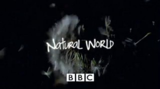 BBC Мир природы. Водопад Виктория / The Natural World. Victoria Falls (2008)