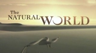 BBC Мир Природы. Невидимый мир / The Natural World. Beyond the naked eye