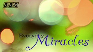 BBC Удивительное рядом / Everyday Miracles Часть 2. За пределами (2014)