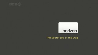 BBC horizon Тайная жизнь собак / The secret life of the dog (2010) HD