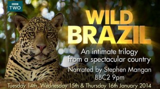 BBC Дикая Бразилия / Wild Brazil. 03. Испытание засухой (2014)