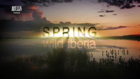 Дикая Иберия / Wild Iberia 1. Весна (2014) Альваро Мендоса