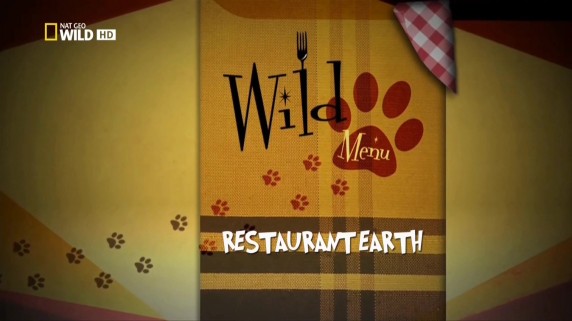 Дикое Меню / Wild Menu 02. Хрустящие насекомые (2014) Nat Geo Wild HD