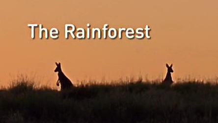 Национальные парки Австралии / Australia's Wild Places 02. Тропический лес (2013)