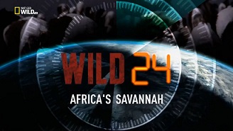 Дикие животные 24 часа 2 серия. Пустыня Атакама (Выжженная земля) / Wild 24 (2015)