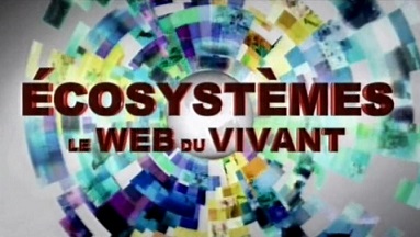 Экосистемы Паутина жизни: 13 серия. Тигры борьба за территорию / Ecosystemes le Web du Vivant (2001)