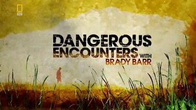 Опасные встречи: Нападение питона / Dangerous Encounters: Python Attack (2007)