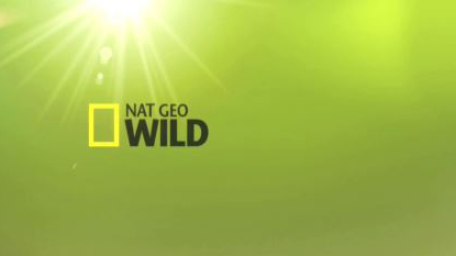 Дикая природа Миссисипи 2 серия. Великий потоп / NAT GEO WILD. Wild Mississippi (2011)