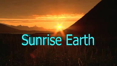 Восходы (Пробуждающаяся планета) Колония морских слонов / Sunrise Earth: Seaside Collection (2007)