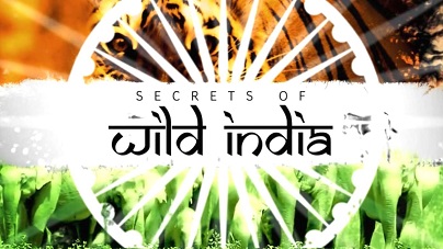 Секреты дикой Индии 1 серия. В царстве слонов / Secrets of Wild India (2011)