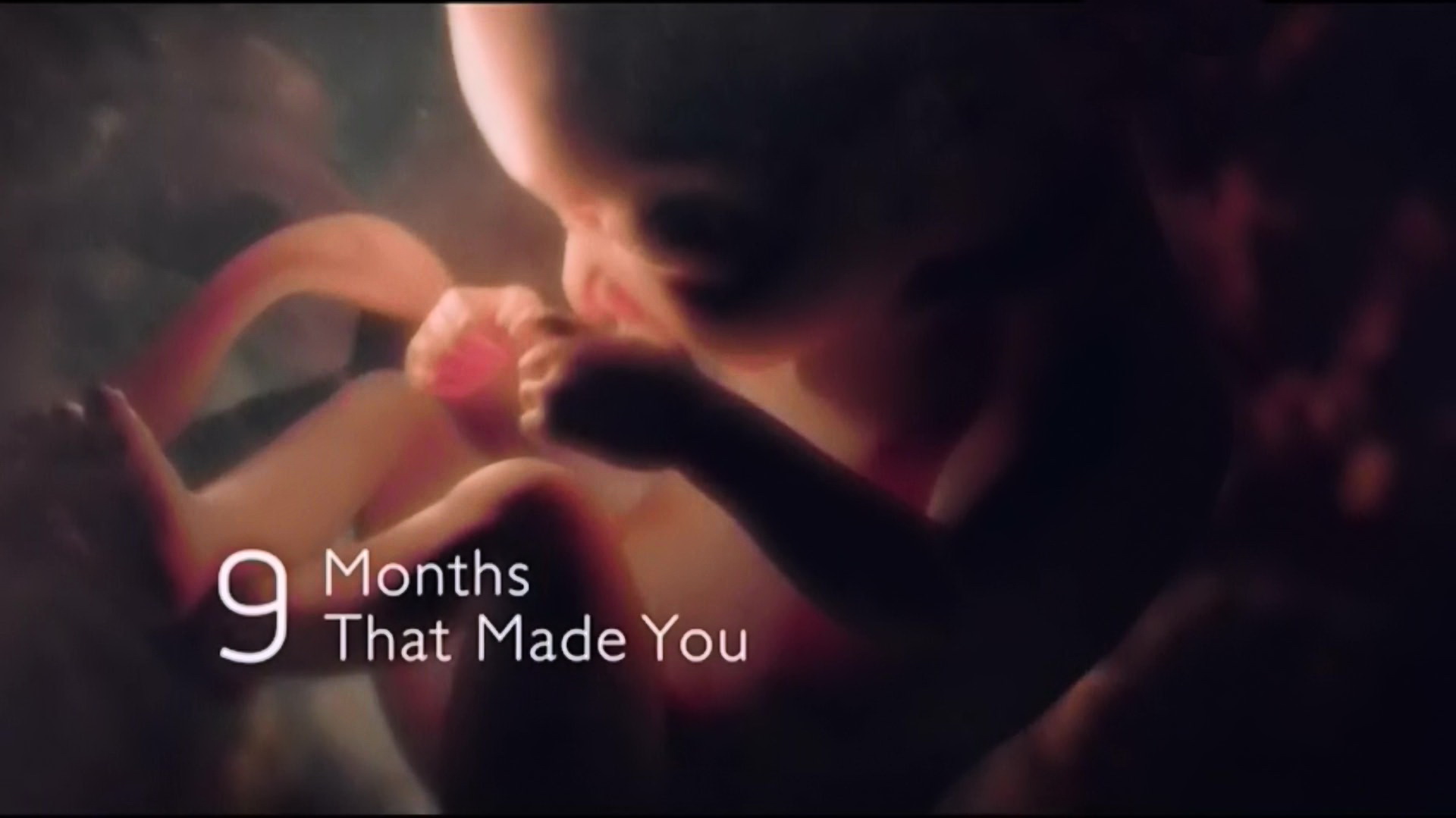 BBC Девять месяцев, которые создают нас 3 серия. Последнее усилие / The Nine Months That Made You (2011)