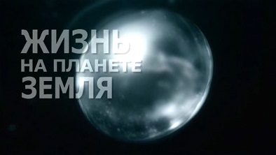 Жизнь на планете Земля 01 серия. Борьба за выживание / Life (2010)