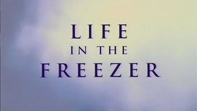 Жизнь в морозильнике 1 серия. Щедрое море / Life in the Freezer (1993)