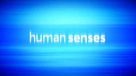 Чувства человека 1 серия. Обоняние / Human Senses (2003) HD