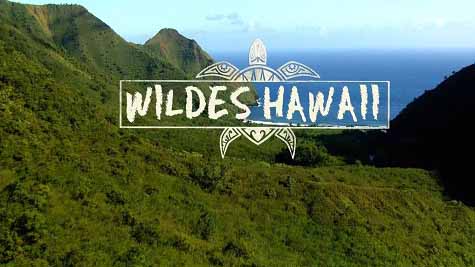 Дикие Гавайи. Огненный край / Wild Hawaii (2013)