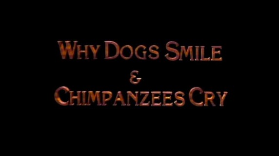 Почему собаки улыбаются и шимпанзе плачут 1 серия / Why Dogs Smile and Chimpanzees Cry (1999)