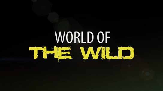 Мир дикой природы 04 серия. Арктика / World of the Wild (2016)