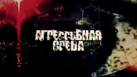 Агрессивная среда. Что скрывают невидимки? От света к радиоволнам (2016)