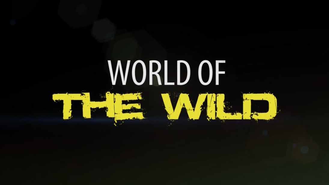 Мир дикой природы 07 серия. Открытый океан / World of the Wild (2016)