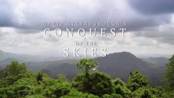 Покорение небес Дэвида Аттенборо 2 серия. Соперники / David Attenborough's Conquest of the Skies (2014)