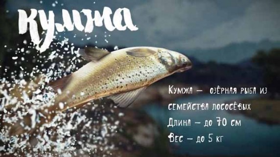 Охота на рыбалку с Вилле Хаапасало. Кумжа (2016)