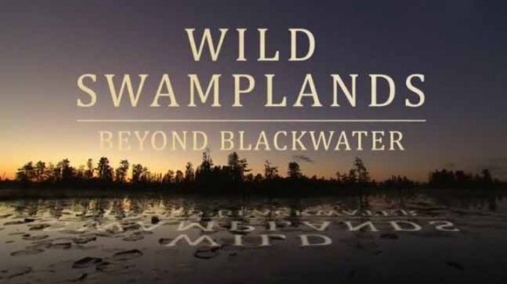 Дикие болота В темной воде / Wild Swamplands. Beyond Blackwater (2013)