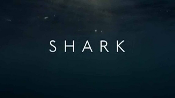 Вся правда об акулах 1 серия / Shark (2015)