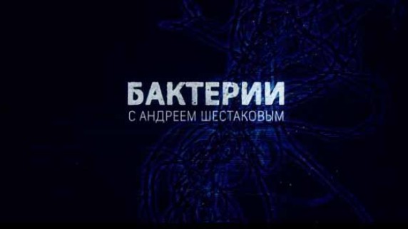 Бактерии. Гости или хозяева (2016)