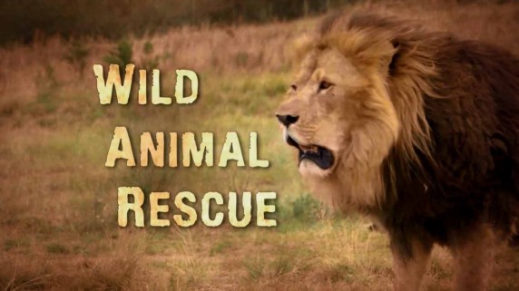 Спасение диких животных 2 серия / Wild Animal Rescue (2017)