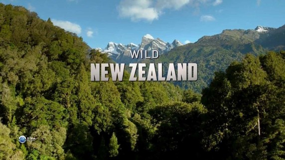 Дикая природа Новой Зеландии 1 серия. Брошенные на произвол судьбы / Wild New Zealand (2016)