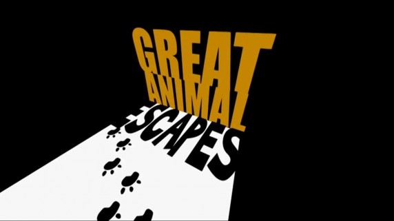 Ловкие побеги животных 1 сезон: 10 серия / Great animal escapes (2012)