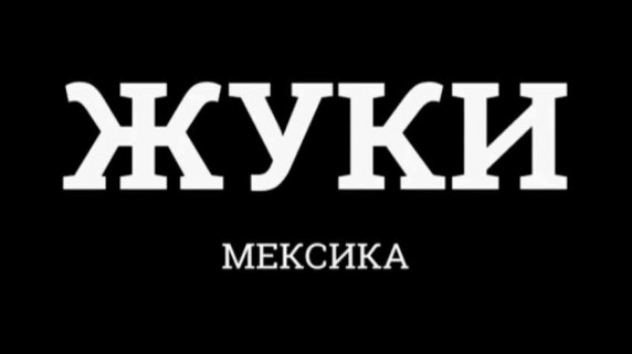 Жуки 1 серия. Мексика / Bugs (2016)