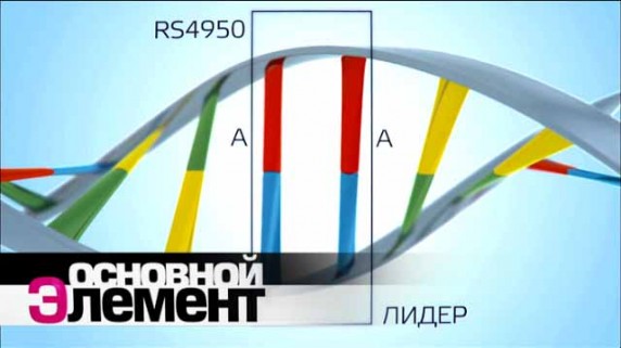 Ген власти. Доминирование и подчинение. Основной элемент