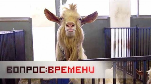 Транспортировка генов. Вопрос времени