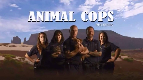 Отдел по защите животных. Полиция Феникса 20 сезон 9 серия. Форсаж / Animal Cops Phoenix (2017)